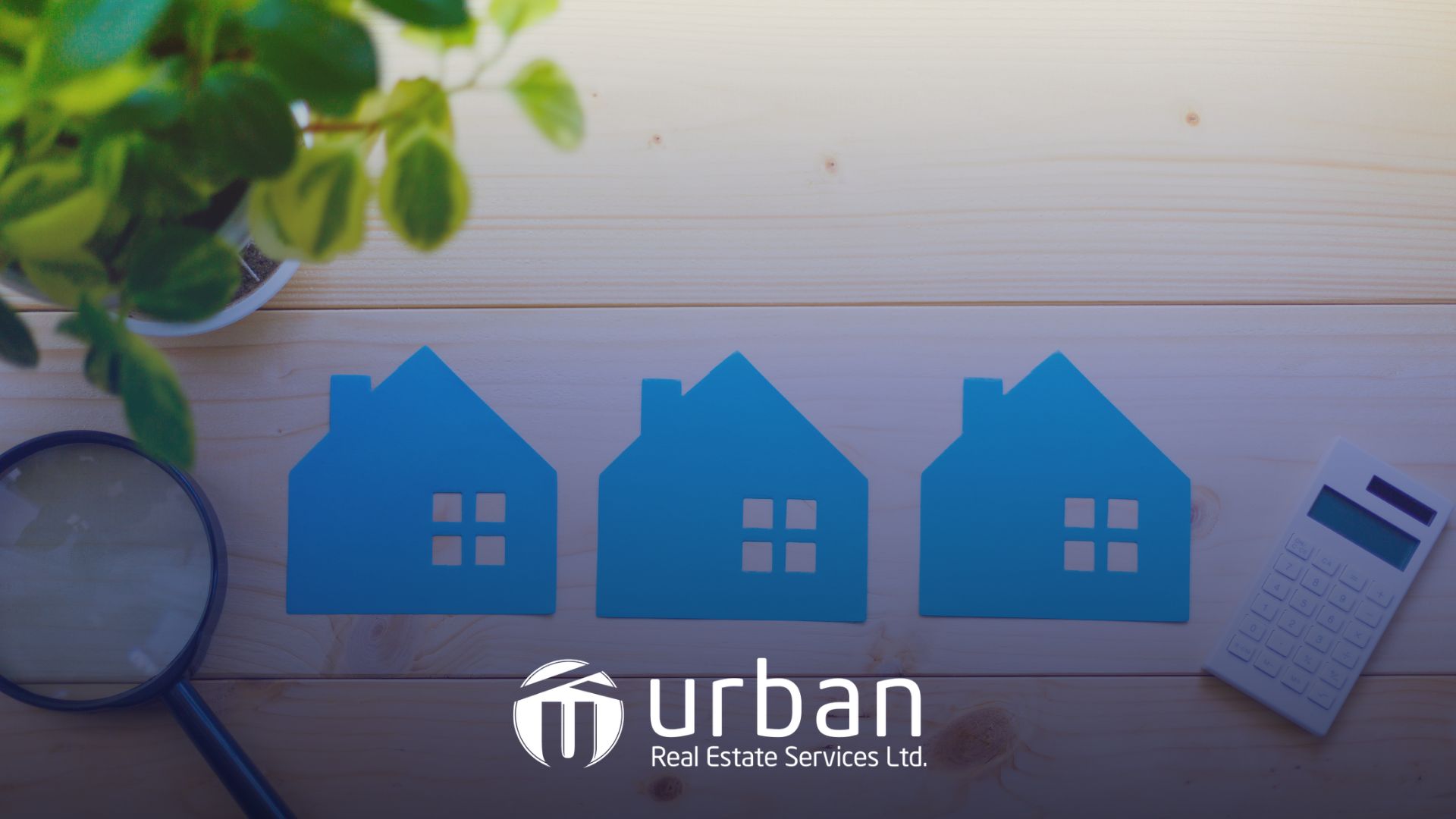 homes for sale in nolan hill
